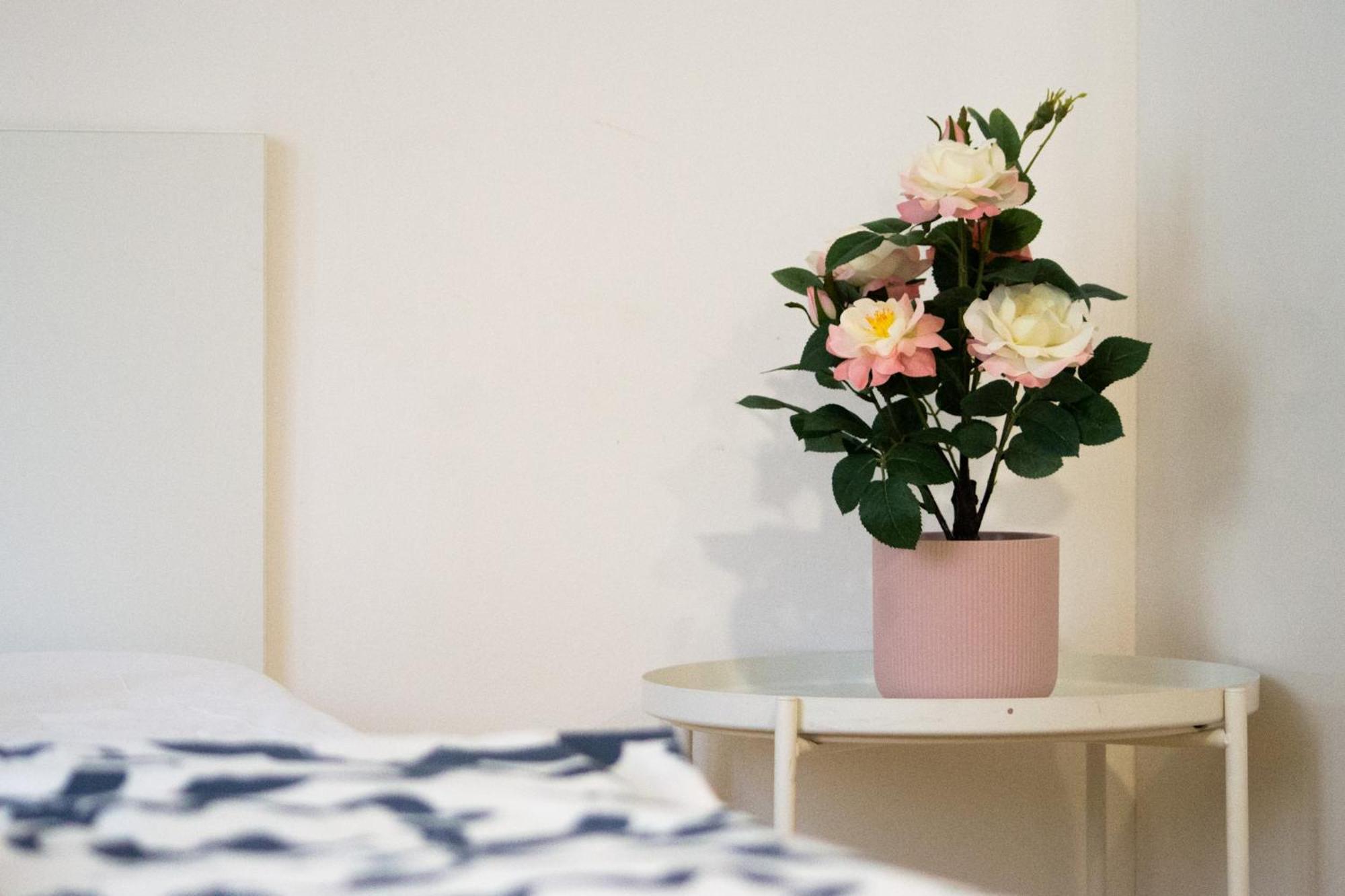 Apartman Vlna Daire Brno Dış mekan fotoğraf